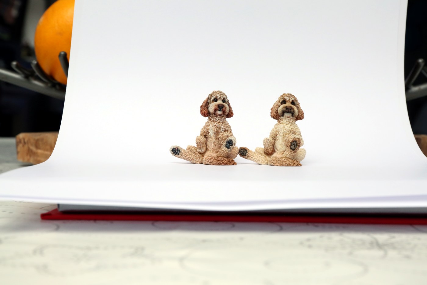 Cockapoos — seated pair